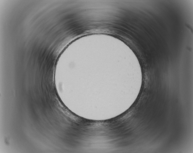 X0000103501228200810241117