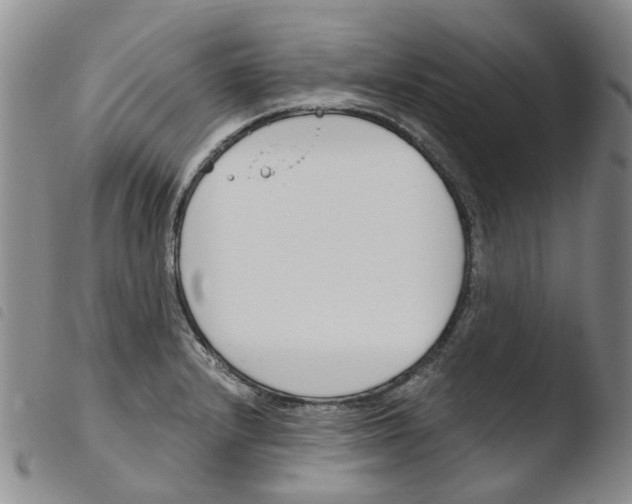 X0000103501232200810241117