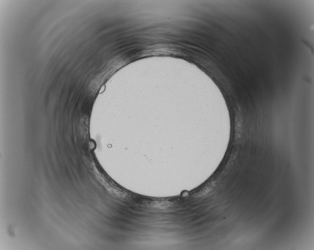 X0000103501233200810241117