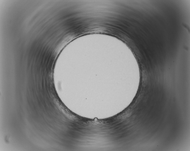 X0000103501234200810241117