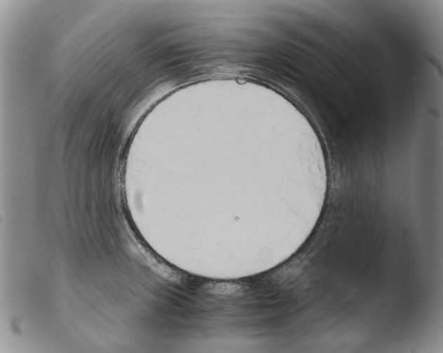 X0000103501235200810241117