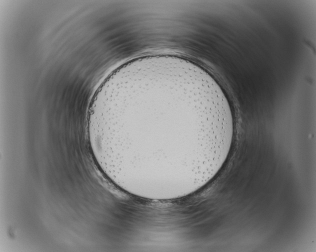 X0000103501236200810241117