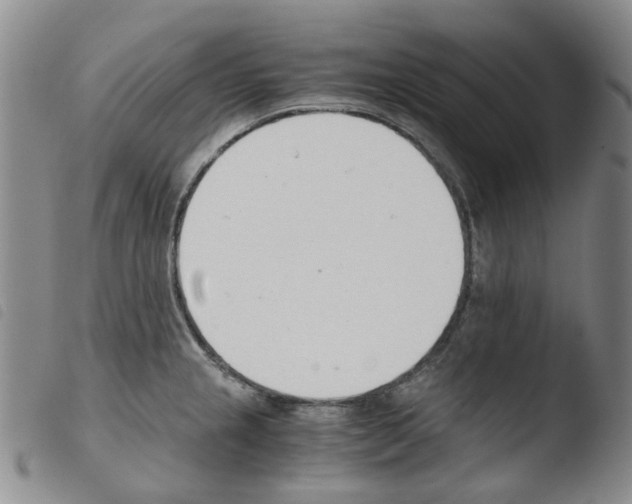 X0000103501237200810241117