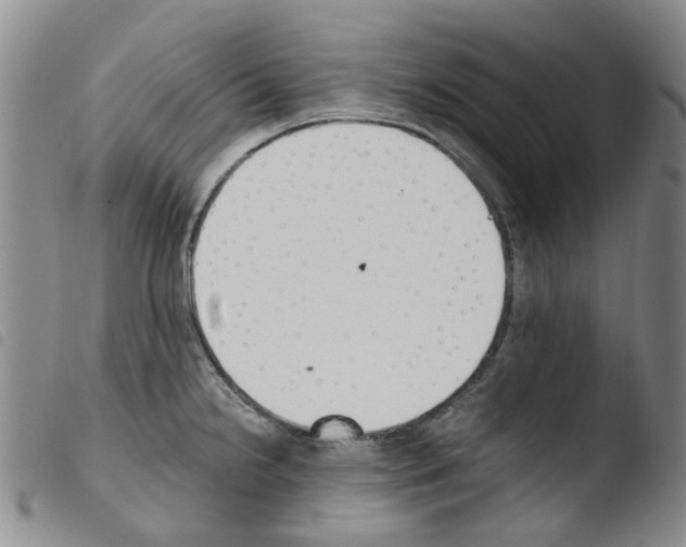 X0000103501238200810241117