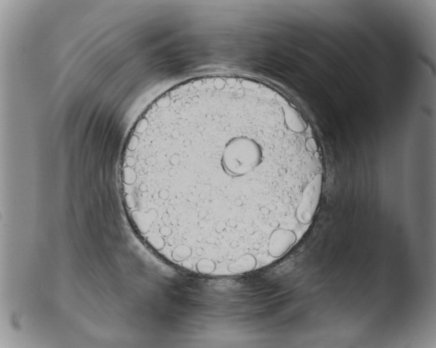 X0000103501239200810241117