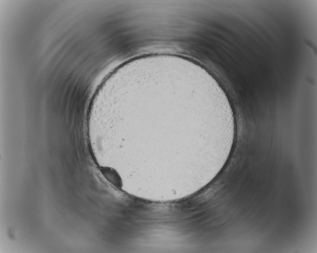 X0000103501240200810241117