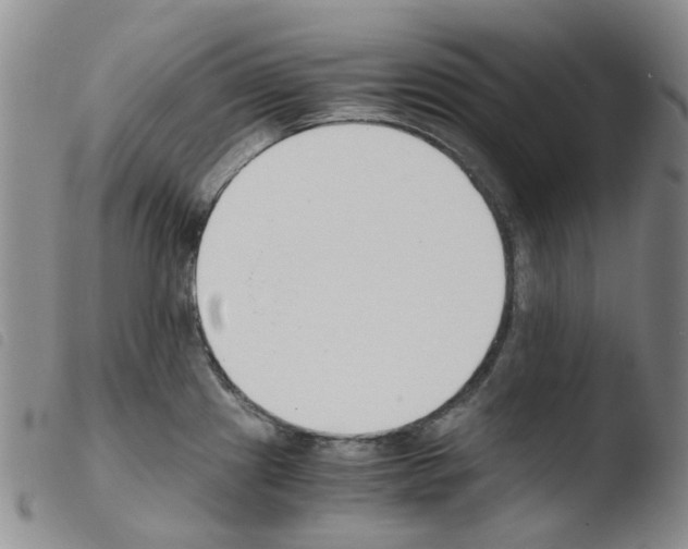 X0000103501241200810241117