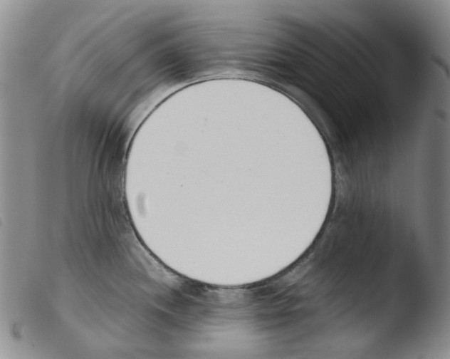 X0000103501244200810241117