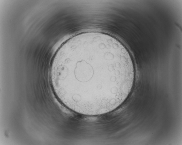 X0000103501245200810241117