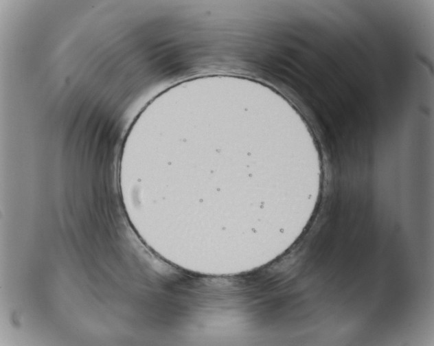 X0000103501246200810241117