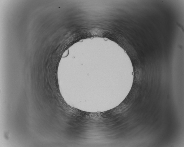 X0000103501249200810241117