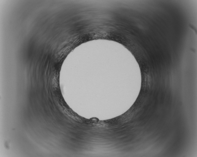 X0000103501250200810241117