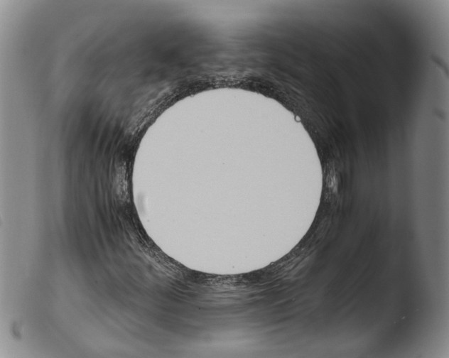 X0000103501252200810241117