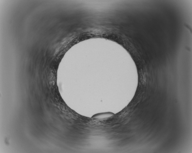 X0000103501253200810241117