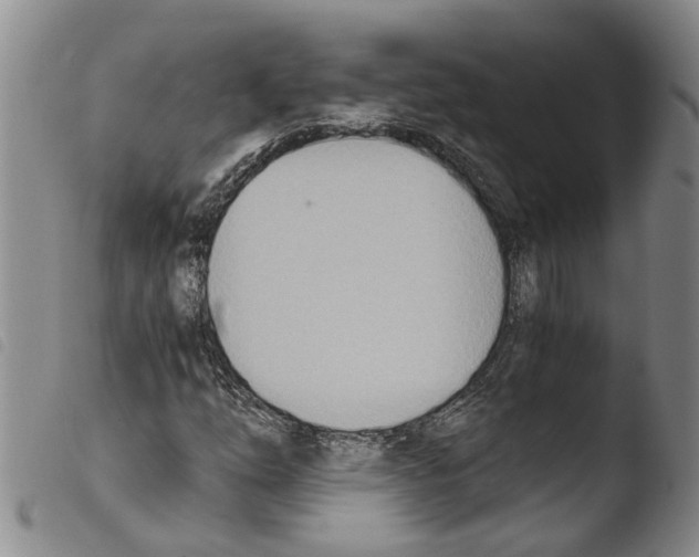 X0000103501254200810241117