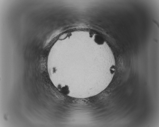 X0000103501255200810241117