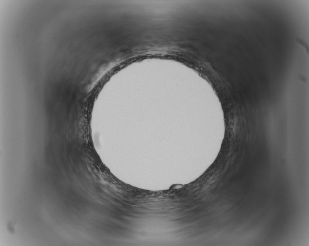 X0000103501256200810241117