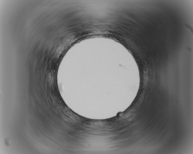 X0000103501257200810241117