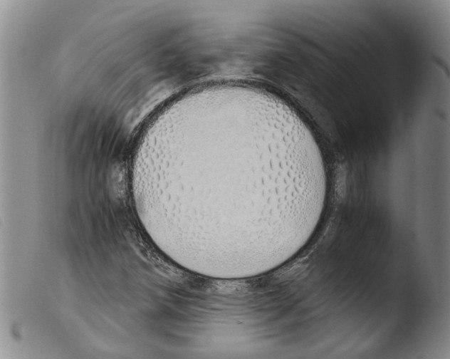 X0000103501258200810241117