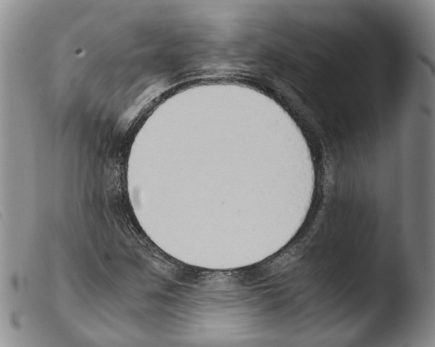 X0000103501259200810241117