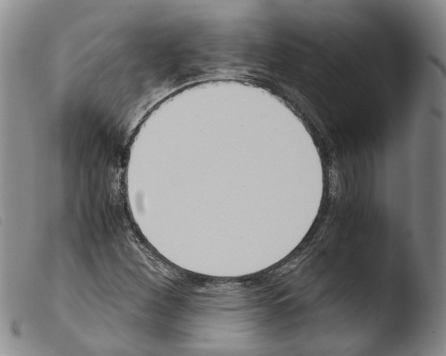 X0000103501260200810241117