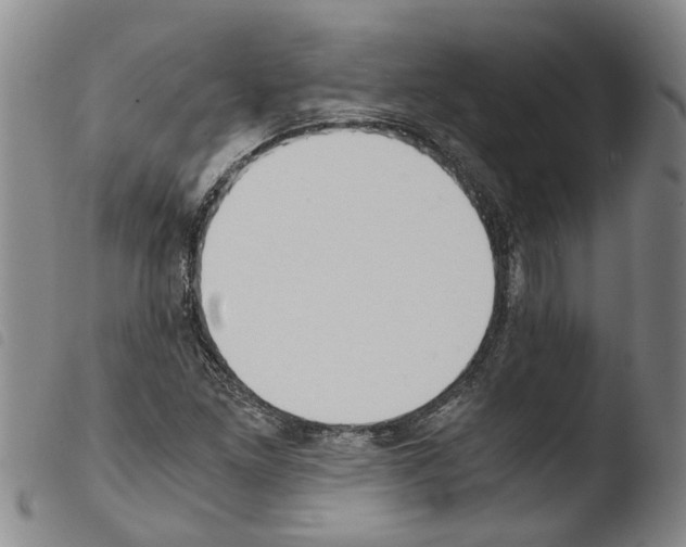 X0000103501261200810241117