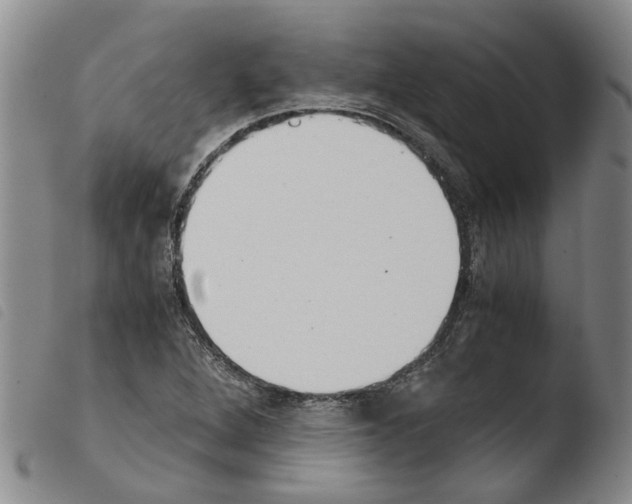 X0000103501264200810241117