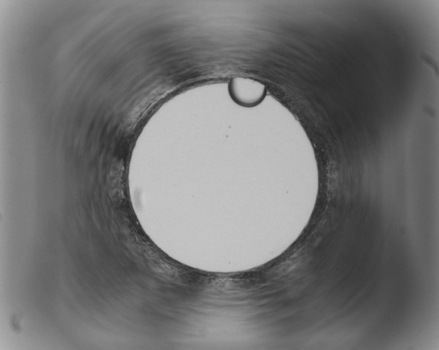 X0000103501265200810241117