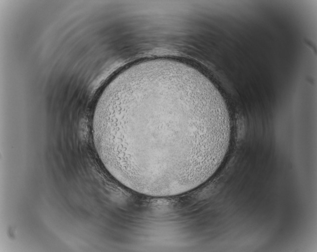 X0000103501266200810241117