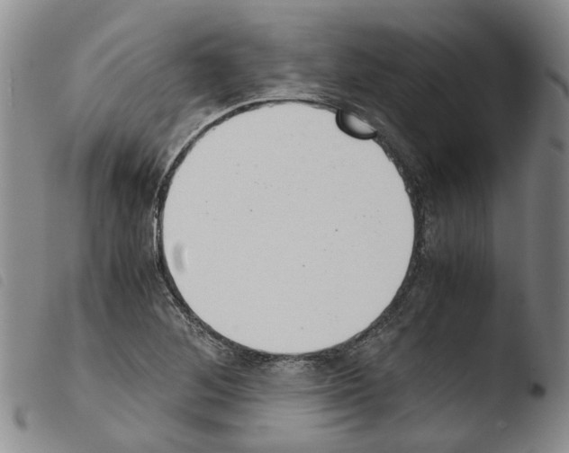 X0000103501268200810241117