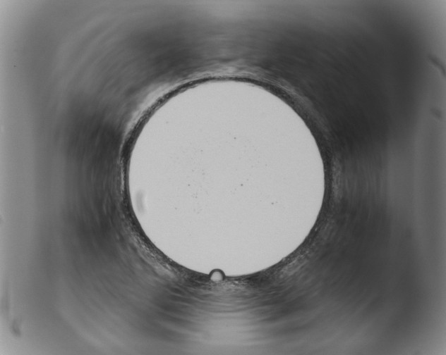 X0000103501270200810241117