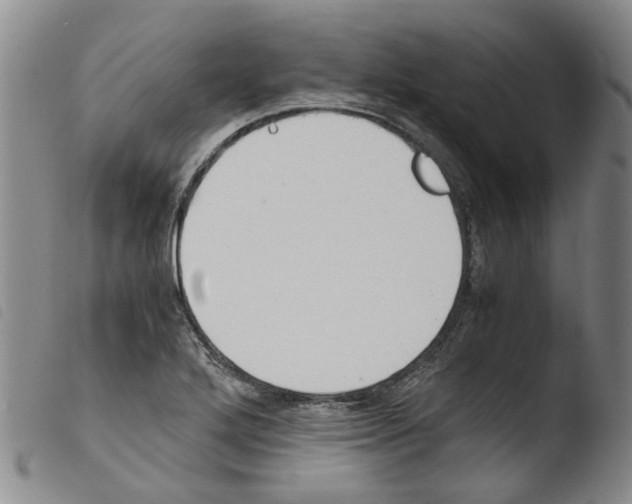 X0000103501272200810241117