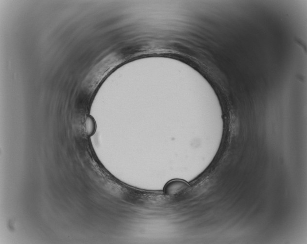 X0000103501273200810241116