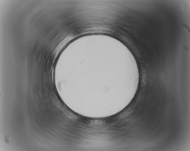 X0000103501275200810241116