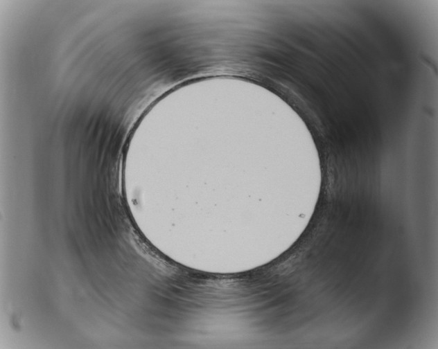 X0000103501276200810241116