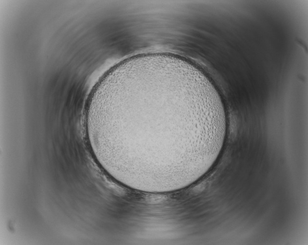 X0000103501278200810241116