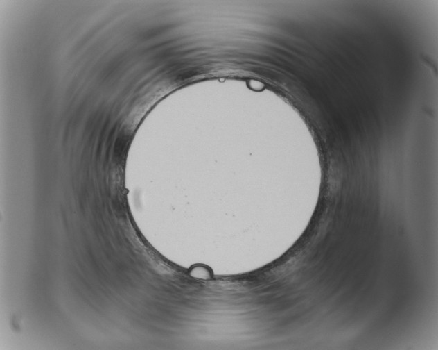 X0000103501281200810241116