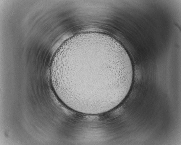 X0000103501282200810241116