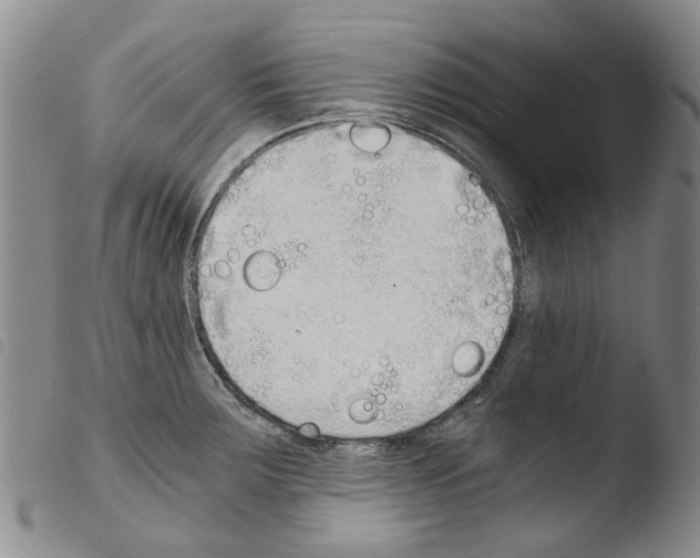 X0000103501283200810241116