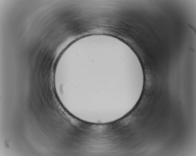 X0000103501286200810241116