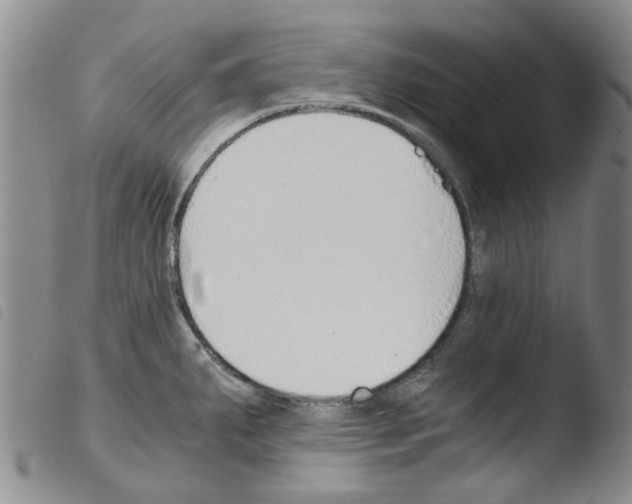 X0000103501287200810241116