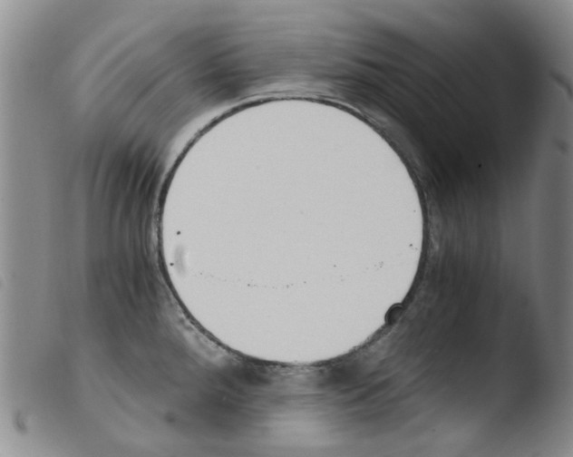 X0000103501288200810241116