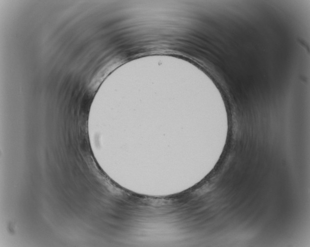 X0000103501289200810241116