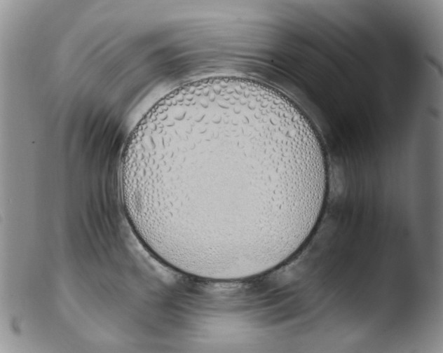 X0000103501290200810241116