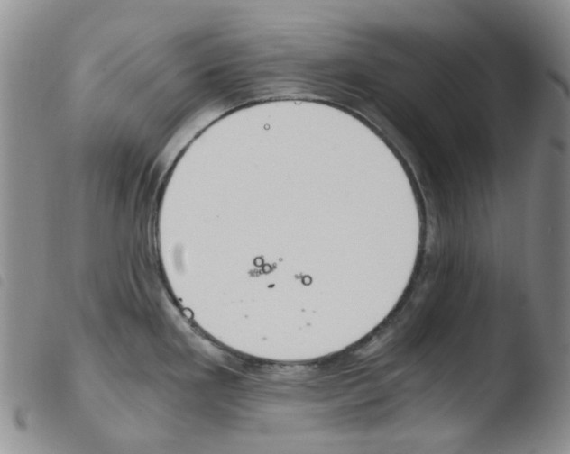 X0000103501293200810241116