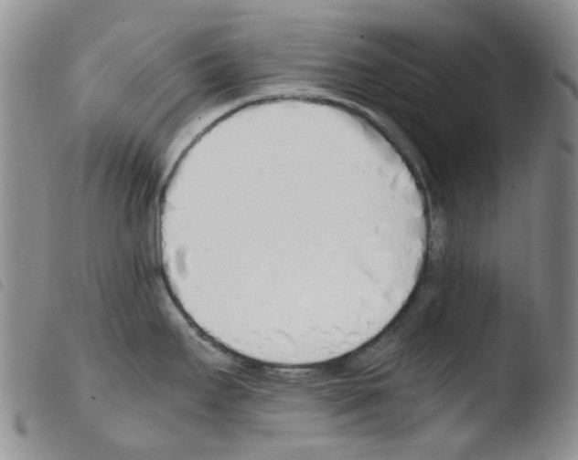 X0000103501295200810241116