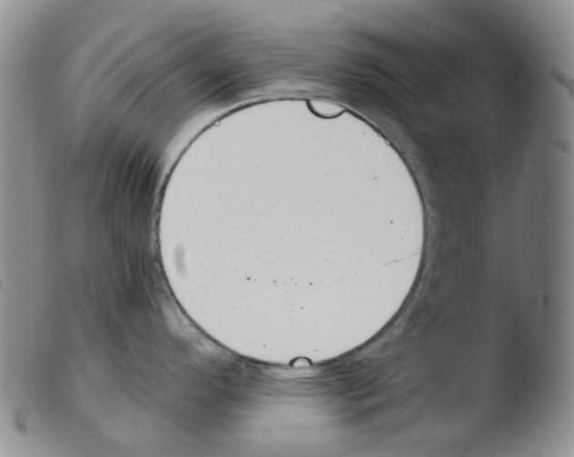 X0000103501296200810241116