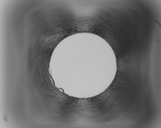 X0000103501297200810241115