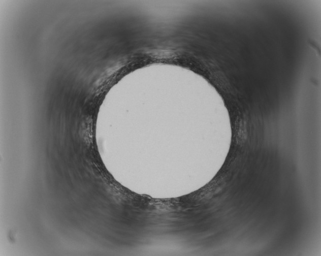 X0000103501301200810241115