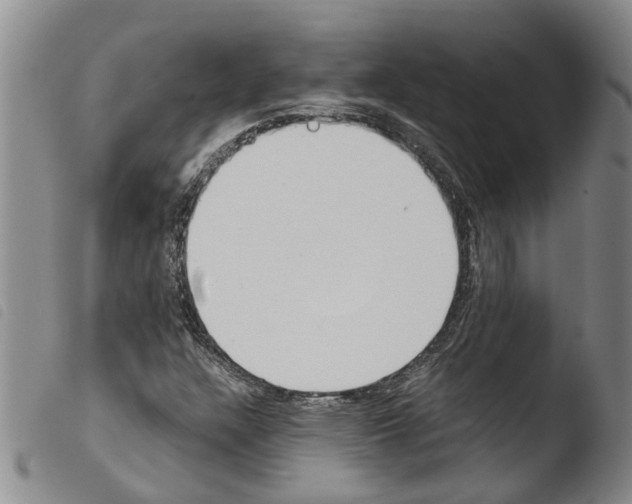 X0000103501304200810241115